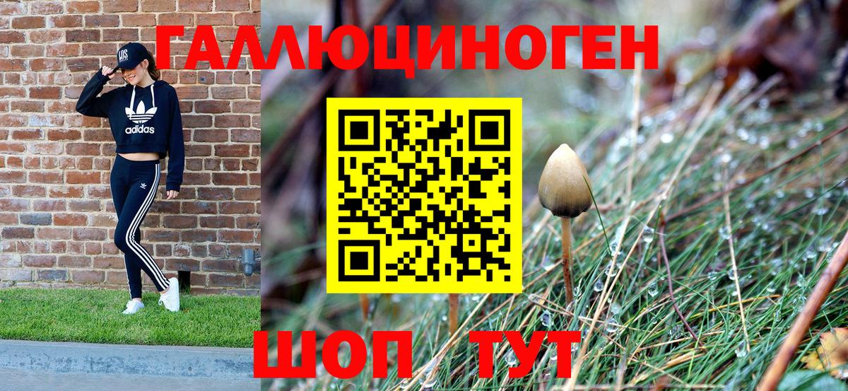 Псилоцибиновые грибы Psilocybine cubensis  Вход с VPN  Кандалакша  сколько стоит  Псилоцибиновые грибы мухоморы 